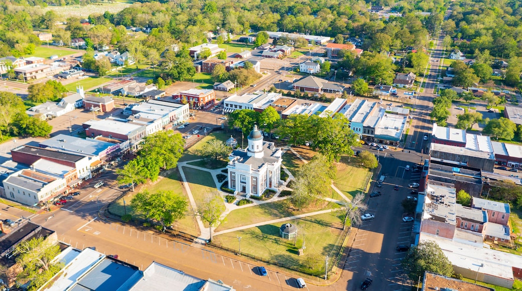 An aerial view of a town with a prominent church, wide streets, and surrounding greenery.