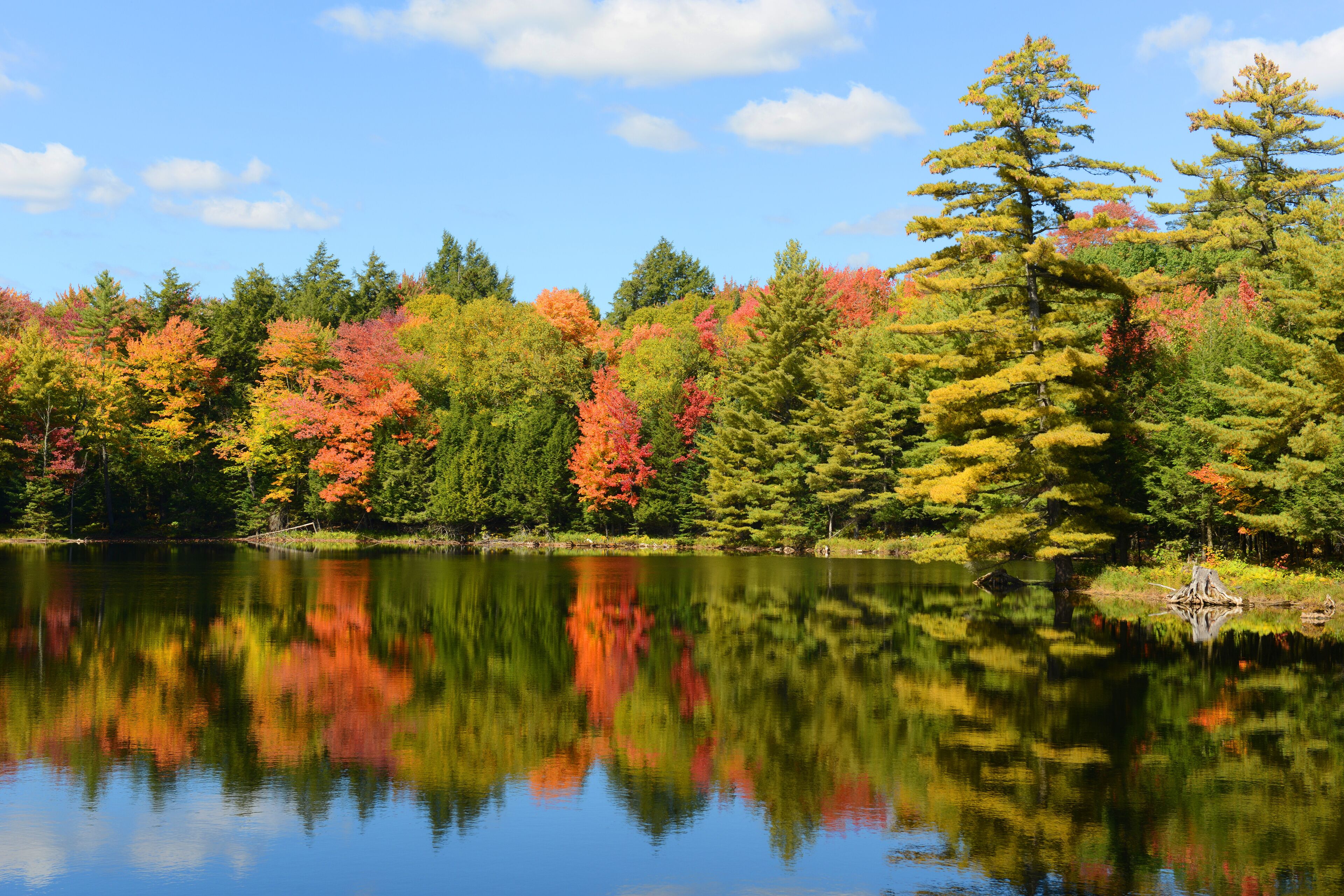 Church Pond in fall with foliage in town of Paul Smiths, Adrondack Mountains, New York, USA.