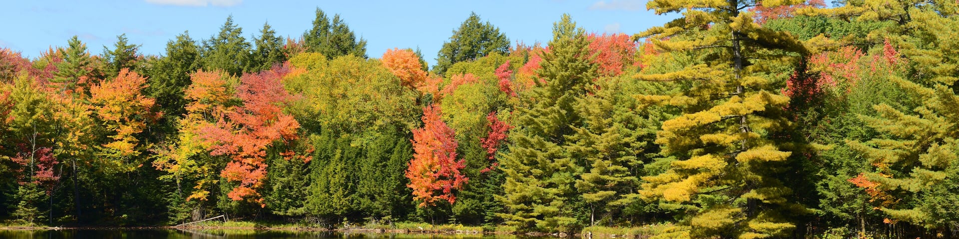 A calm lake reflecting colorful autumn trees and a clear blue sky.