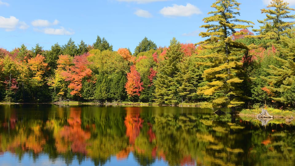 A calm lake reflecting colorful autumn trees and a clear blue sky.
