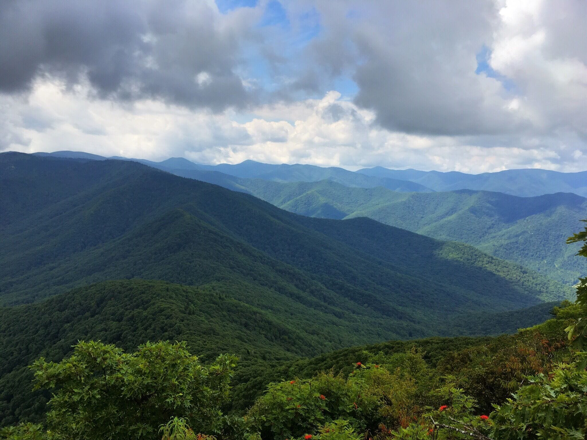 View of the Balsam Mountain Range from on top of Cold Mountain. #mountains
