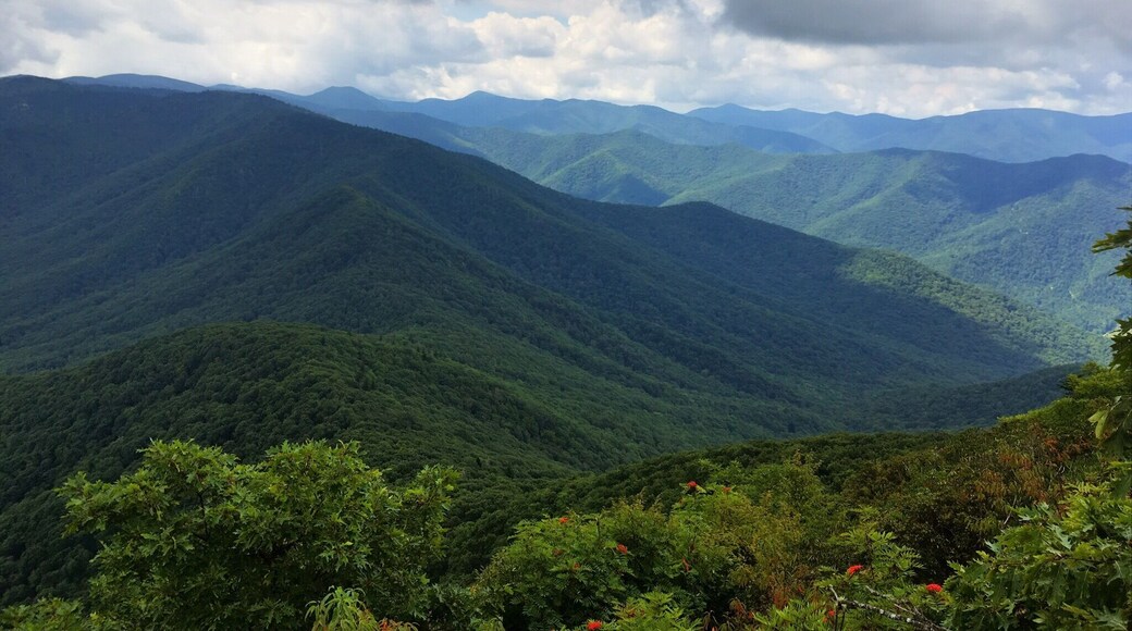 View of the Balsam Mountain Range from on top of Cold Mountain. #mountains