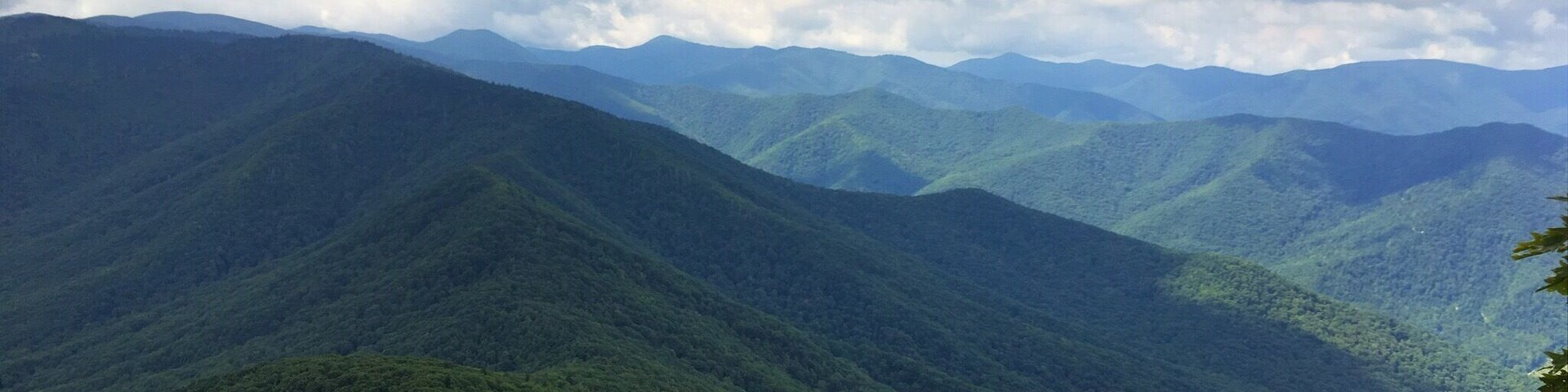 View of the Balsam Mountain Range from on top of Cold Mountain. #mountains