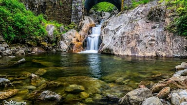 Uma ponte de pedra sobre um riacho cristalino com uma cascata, cercada por vegetação exuberante.