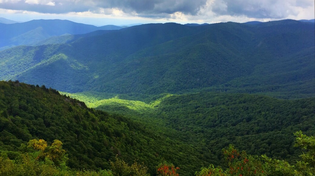 The Art Loeb Trail and the Cold Mountain Spur Trail is my all time favorite hike in the Appalachian Mountains. Awesome 360 degree views of the Balsam Mountains from Cold Mountain are well worth the efforts.