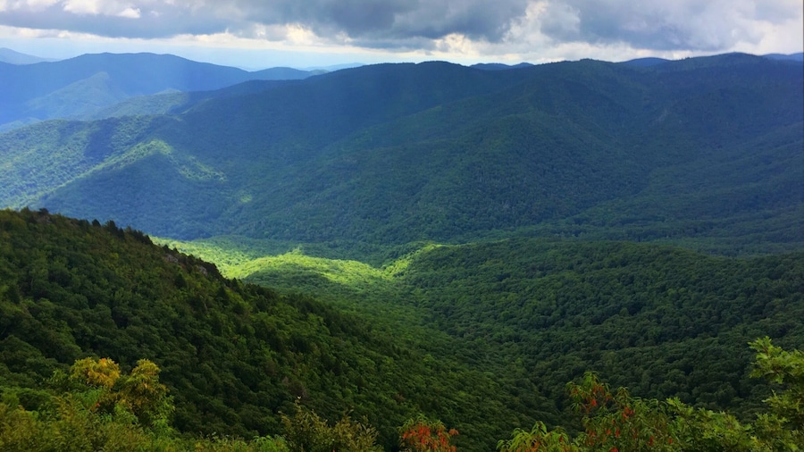 The Art Loeb Trail and the Cold Mountain Spur Trail is my all time favorite hike in the Appalachian Mountains. Awesome 360 degree views of the Balsam Mountains from Cold Mountain are well worth the efforts.