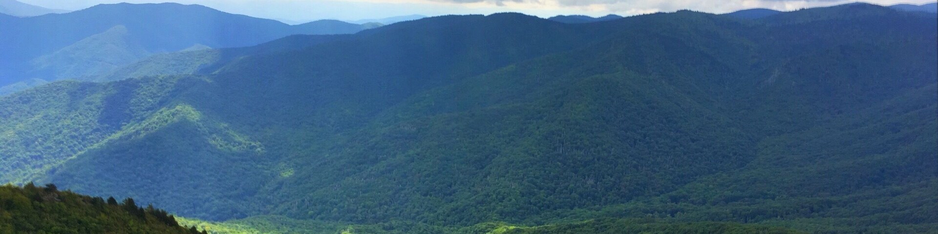 The Art Loeb Trail and the Cold Mountain Spur Trail is my all time favorite hike in the Appalachian Mountains. Awesome 360 degree views of the Balsam Mountains from Cold Mountain are well worth the efforts.