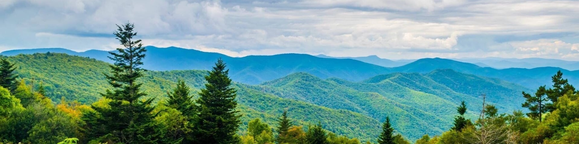 The view u get when hiking on the Ivestor Gap Trail