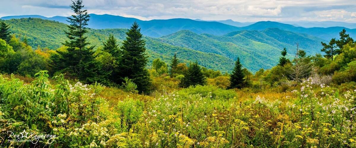 The view u get when hiking on the Ivestor Gap Trail