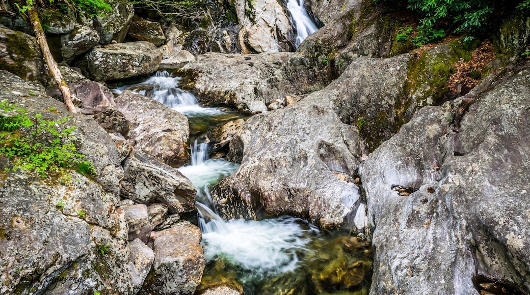Sunburst Falls is near Lake Logan Rd, Pisgah National Forest in Canton, NC.