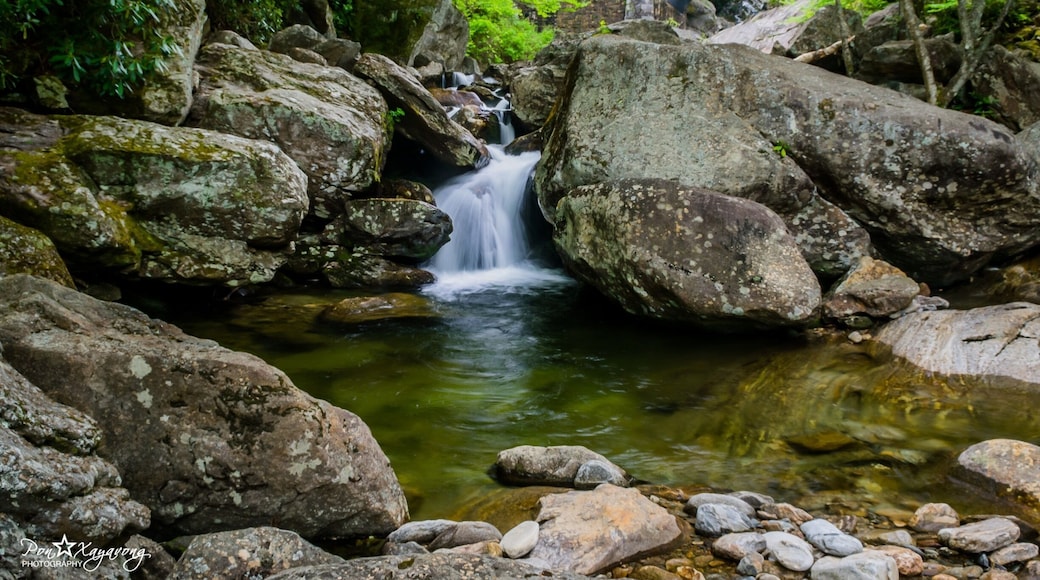 Sunburst Falls is near Lake Logan Rd, Pisgah National Forest in Canton, NC.