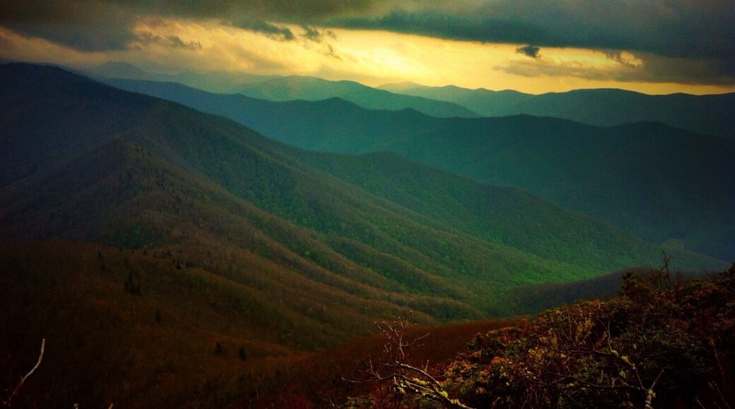 Backpacking on the Art Loeb Trail. My personal favorite hike in the Southern Appalachian Mountains. Looking back at the Shining Rock Wilderness from the top of Cold Mountain.