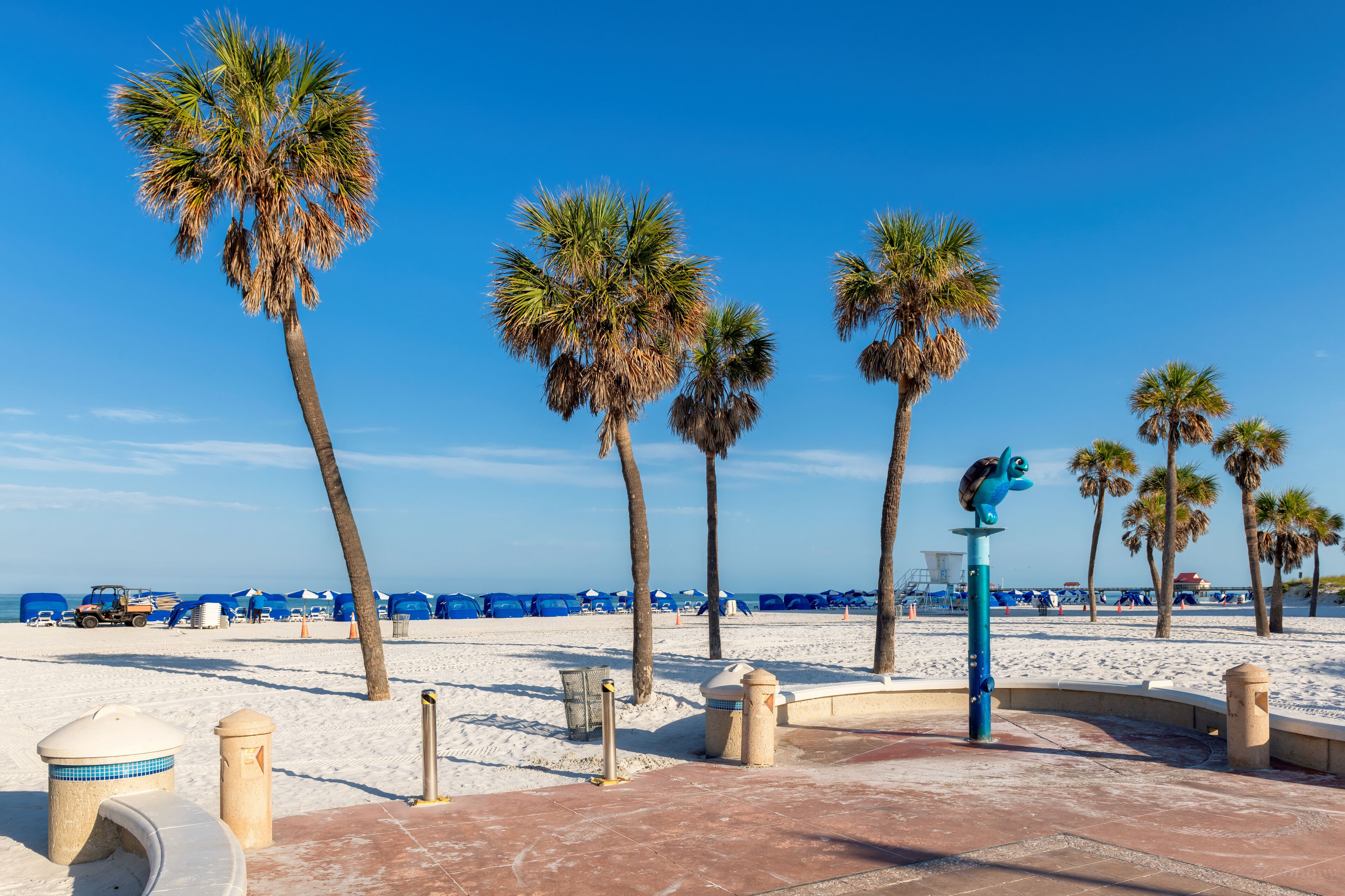 Beautiful Clearwater beach in sunny day with palm trees on white sand in Clearwater, Florida, USA