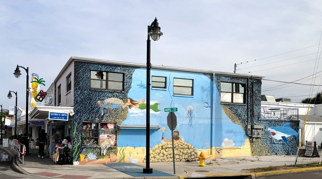 Undersea mural in Tarpon Springs at the corner of Hope Street. (November 2018)
#OnTheRoad