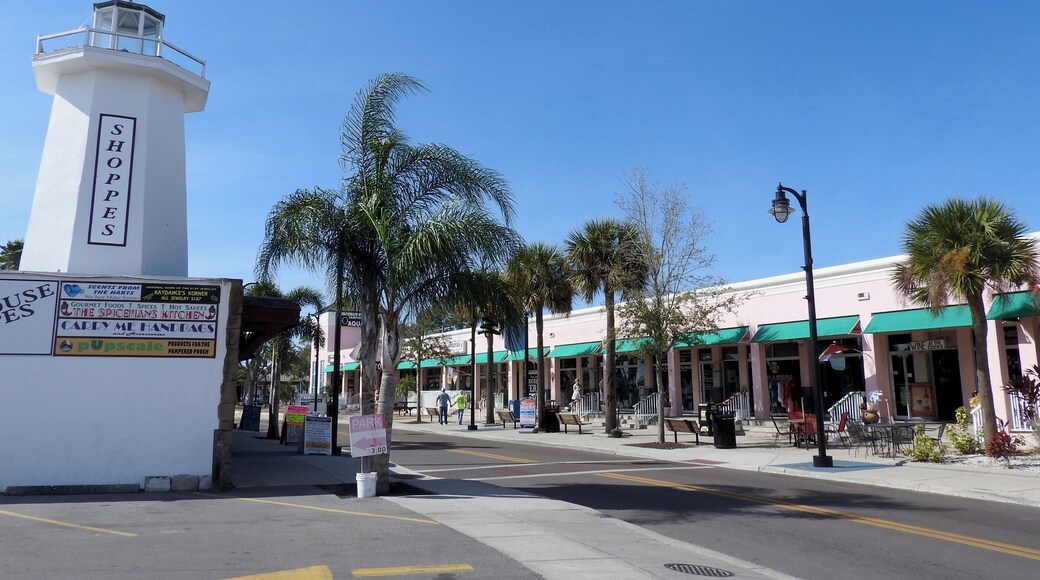 Tarpon Springs is a city in Pinellas County, Florida, United States, which has the highest percentage of Greek Americans of any city in the US.
#OnTheRoad