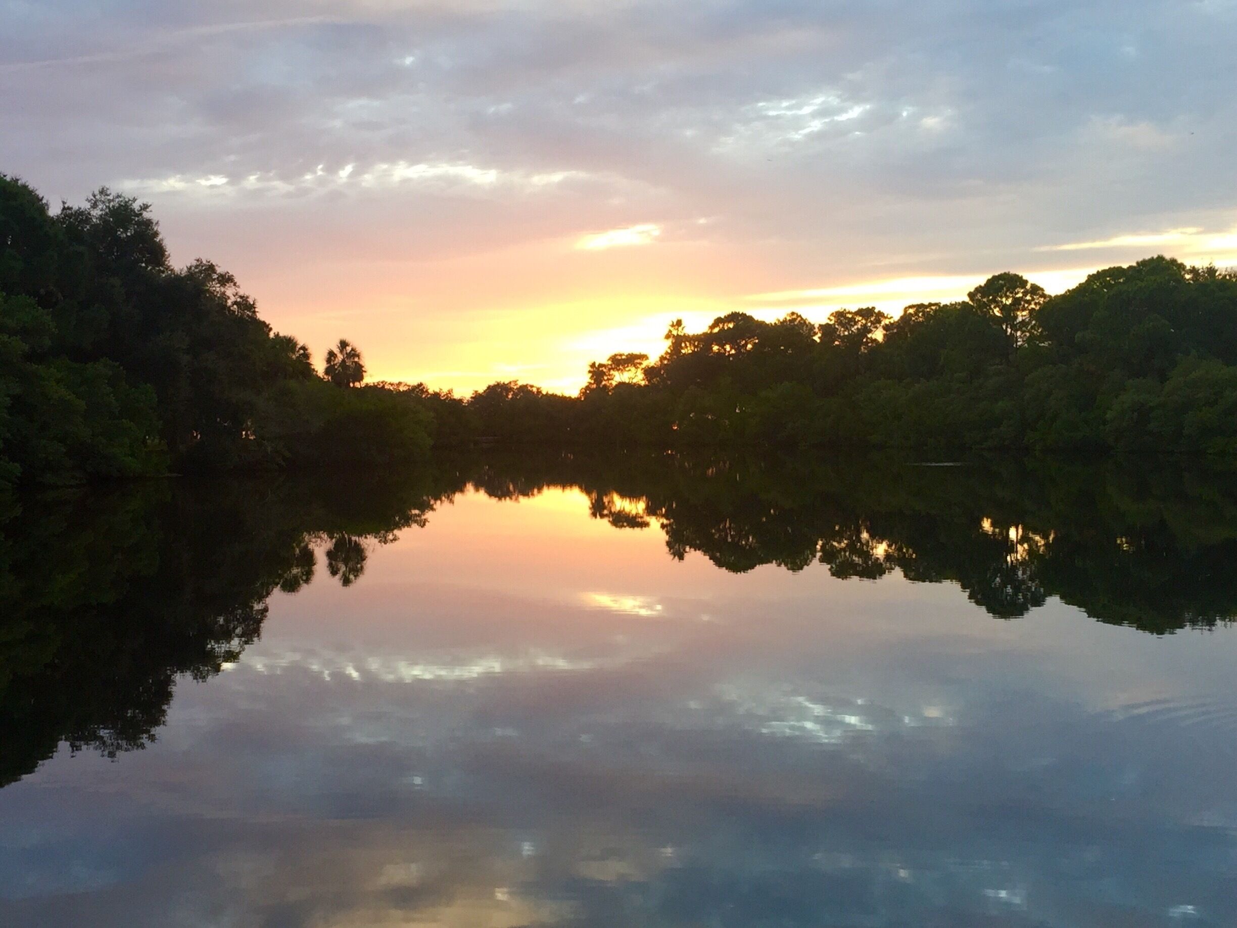 Serene lake along walking path.