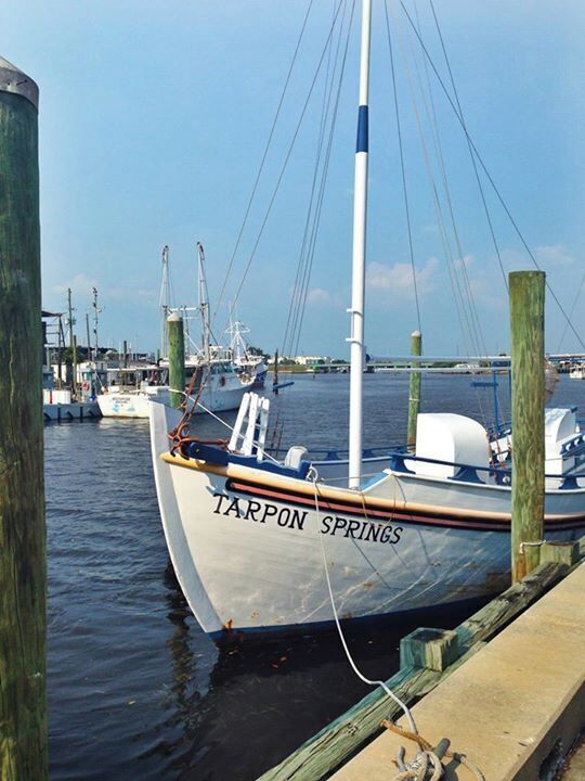 A boat named 'TARPON SPRINGS' docked at a marina with other boats and a clear sky.