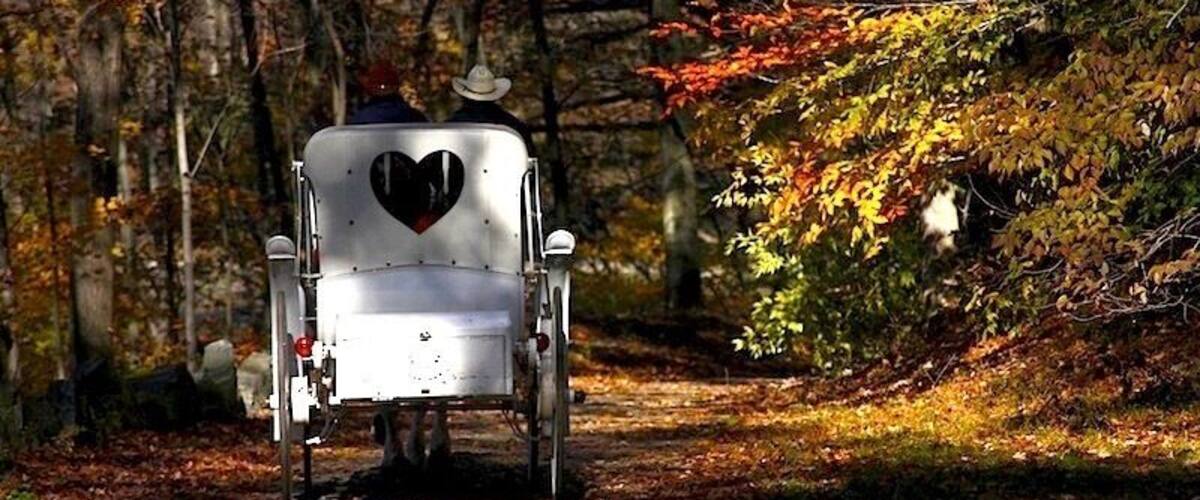 Take a horse-drawn carriage ride around the Rockefeller State Park Preserve to catch the lovely foliage during autumn... #park #upstateny #roadtrip #fallfoliage #colorful #nationalpark #offthebeatenpath #weekendgetaway