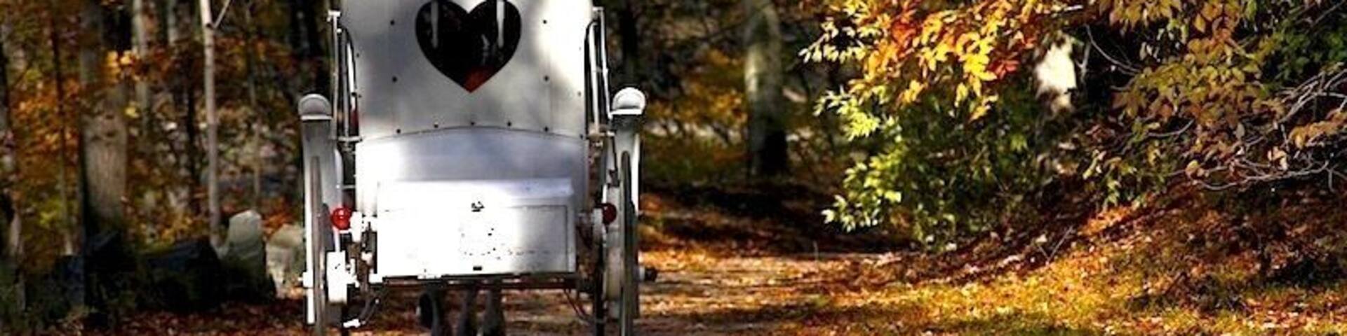Take a horse-drawn carriage ride around the Rockefeller State Park Preserve to catch the lovely foliage during autumn... #park #upstateny #roadtrip #fallfoliage #colorful #nationalpark #offthebeatenpath #weekendgetaway