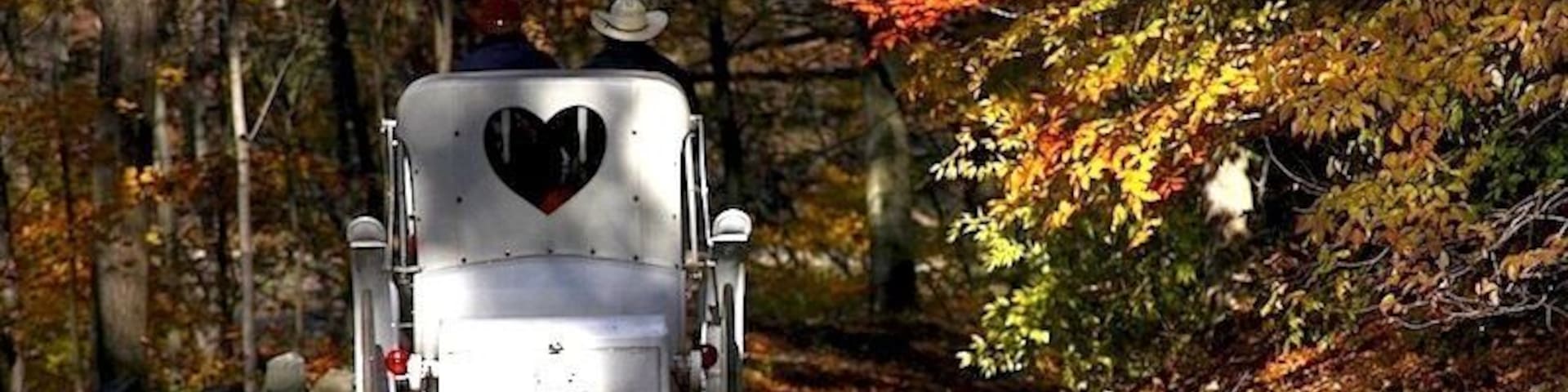 Take a horse-drawn carriage ride around the Rockefeller State Park Preserve to catch the lovely foliage during autumn... #park #upstateny #roadtrip #fallfoliage #colorful #nationalpark #offthebeatenpath #weekendgetaway