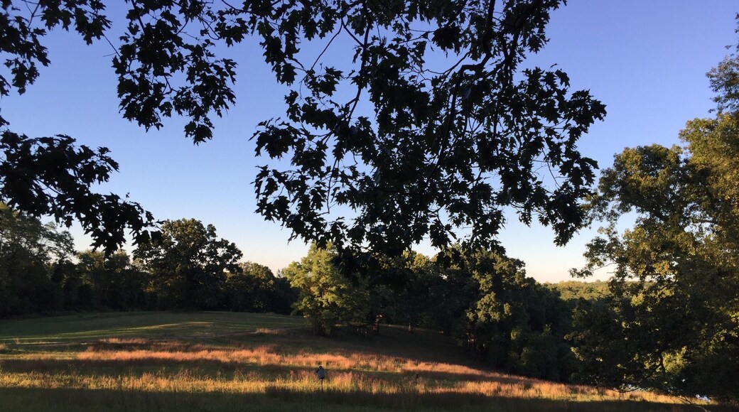 Sun is setting, time to make the walk home to SH