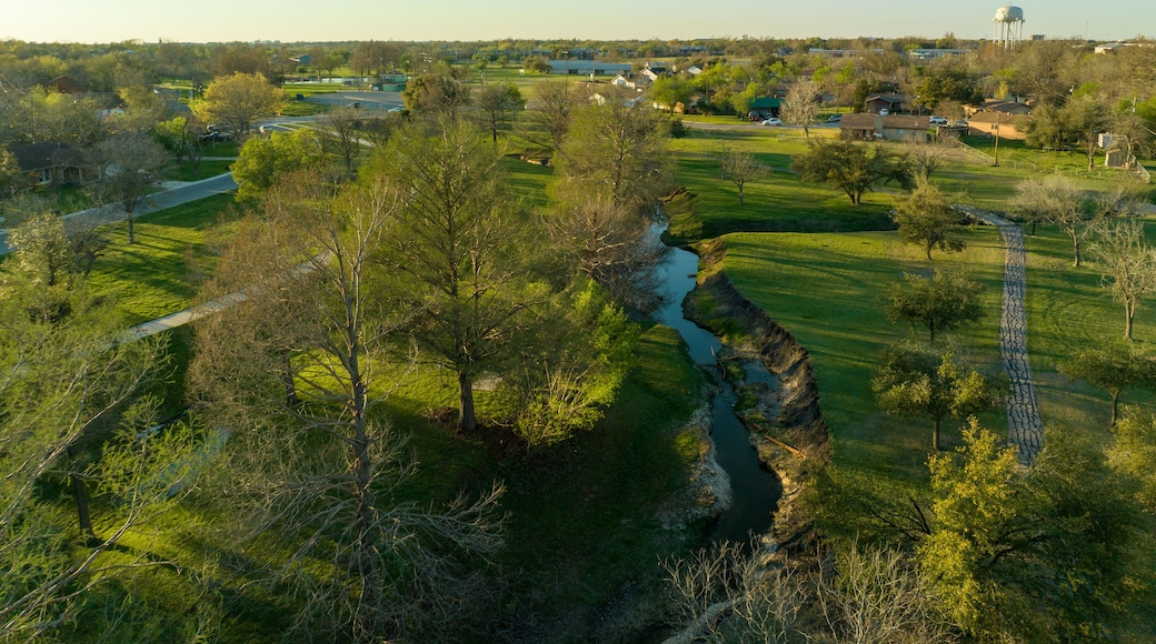 Creek at Taylor Frisbee Park