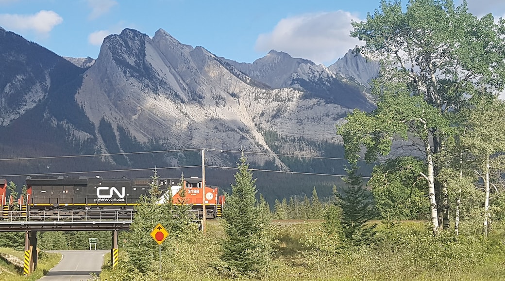 A typical Alberta shot! Blue sky, mountains and a train!