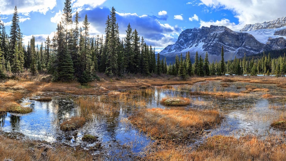 A mountainous landscape with a lake, surrounded by coniferous trees and patches of brown grass.