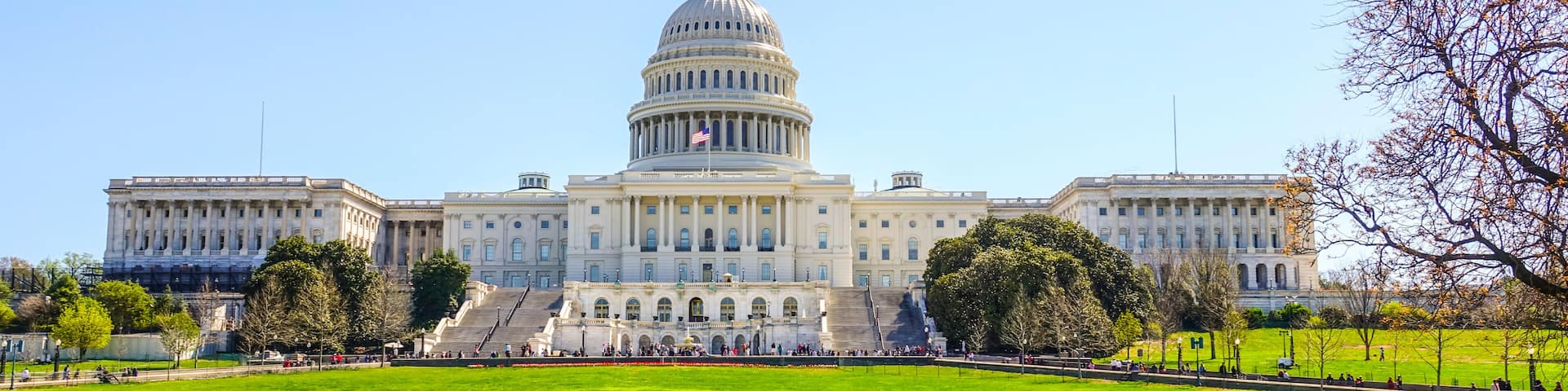 The Capitol in Washington