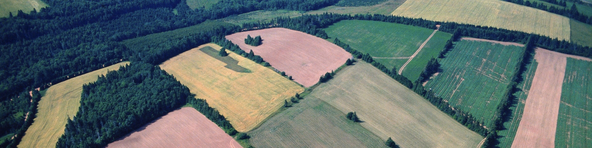 Aerial of Farm Fields, Mayfield, Prince Edward Island, Canada