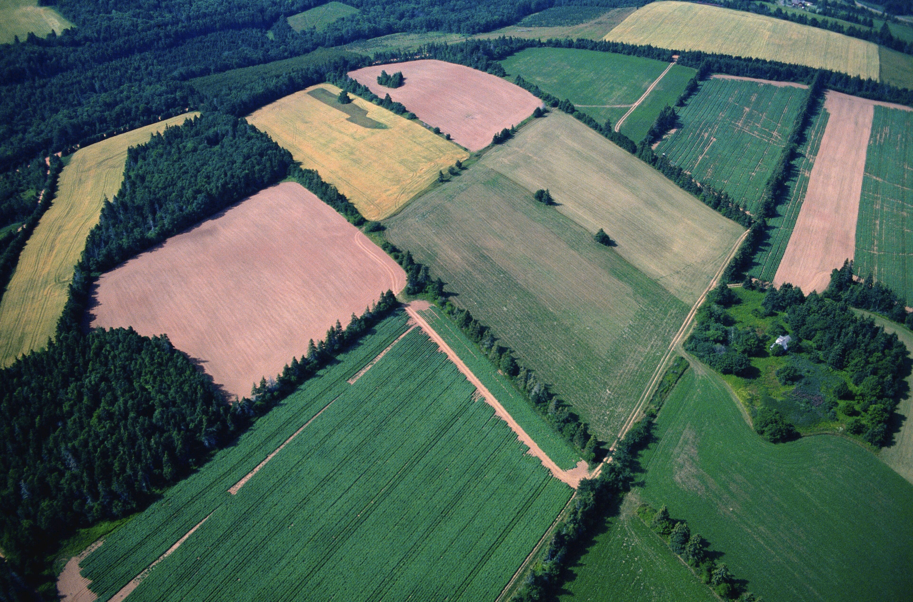 An aerial view of a patchwork of fields with varying crops and patches of forest.