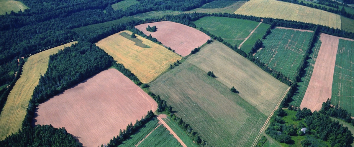 An aerial view of a patchwork of fields with varying crops and patches of forest.