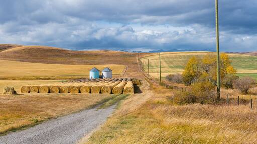 A rural landscape with rolling hills, a gravel path, hay bales, and a small structure with silos.