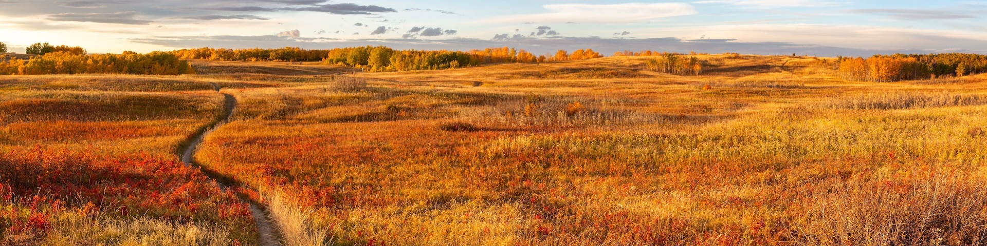 Nose Hill Calgary Alberta Urban City Park Panoramic Landscape. Hiking Footpath Trail Autumn Colour Change Natural Prairie Grassland Horizon