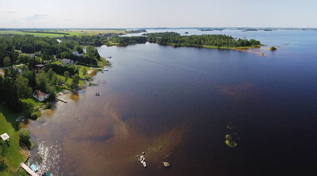 Aerial of lakeshore