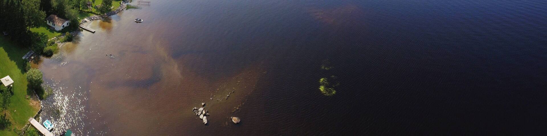An aerial view of a lake surrounded by forested areas and residential properties.