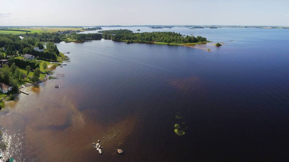 An aerial view of a lake surrounded by forested areas and residential properties.
