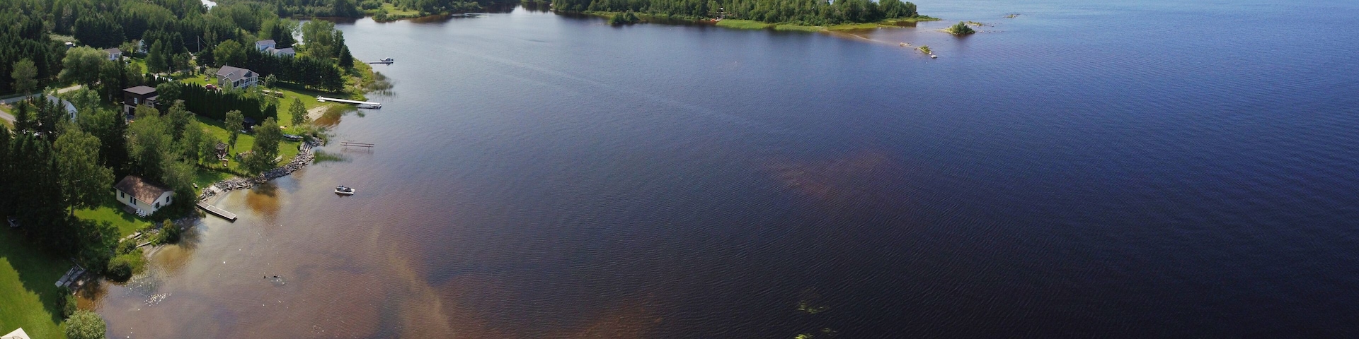 An aerial view of a lake surrounded by forested areas and residential properties.