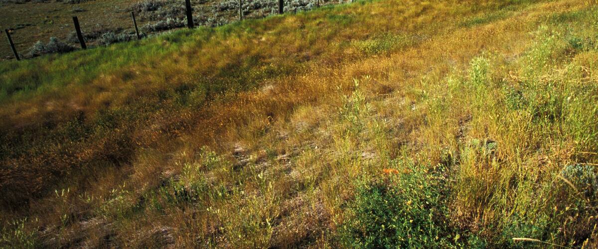 The lush and beautiful Qu'Appelle Valley in eastern Saskatchewan, Canada.