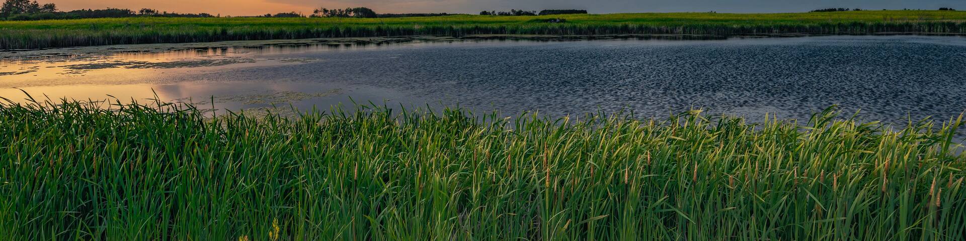 Sun setting over a prairie pond and cattails near Yorkton, Saskatchewan, Canada
