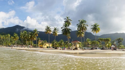 Ocean and Palm Trees at Maracas Beach in Trinidad and Tobago, Caribbean.