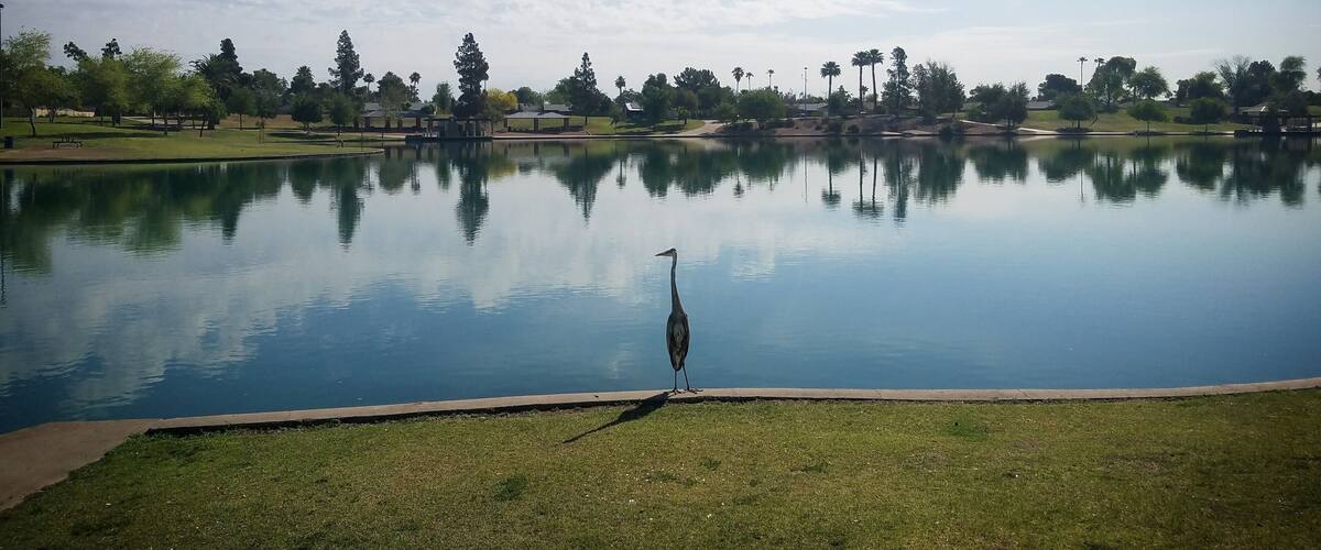 Morning run view