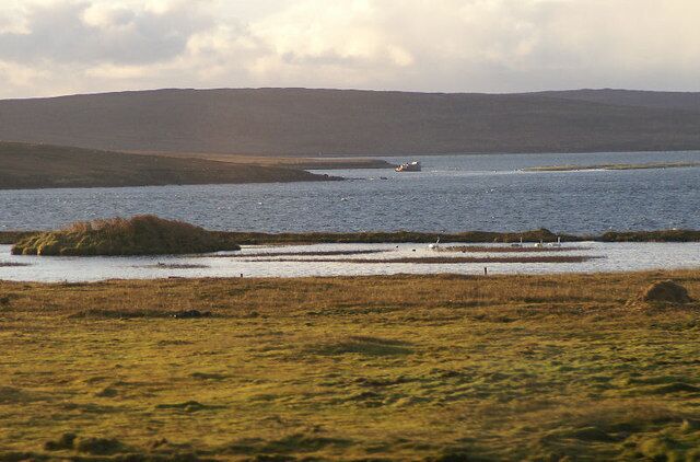 Mire at Brough Lodge, Fetlar A newly-formed dammed pool, with Whooper Swans on it. Hascosay is visible across Colgrave Sound, with Yell beyond that.