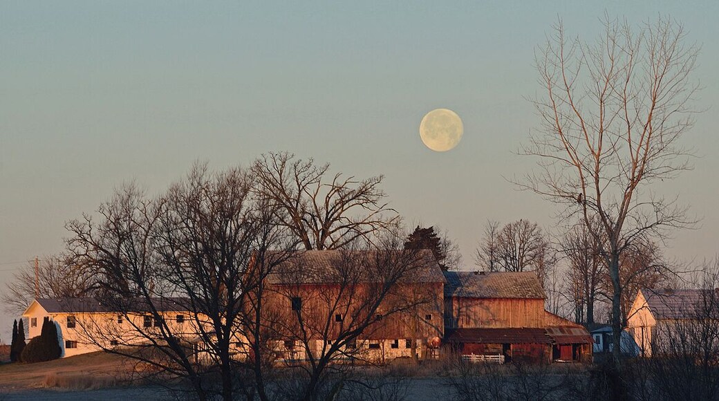 I took this photo in the early morning on the way up to Galena along rt 20. The moon was up high enough with enough sunlight from behind to give it detail without washing it out. The hawk perched in the front tree along with the old barn and full moon were very soothing for some reason. It just looked so peaceful from my position.