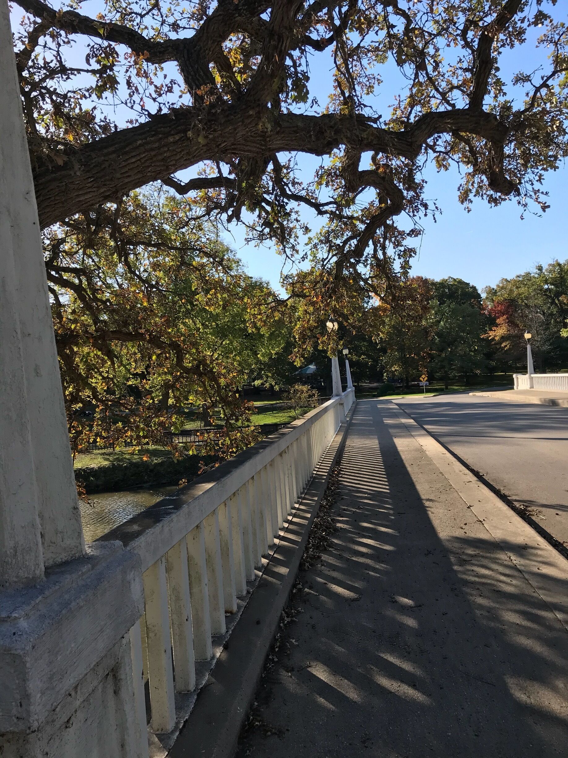 Quite a nice little park called Krape Park.