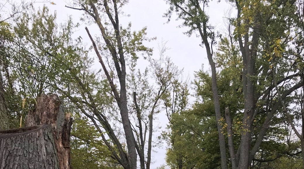 Krape Park again lol