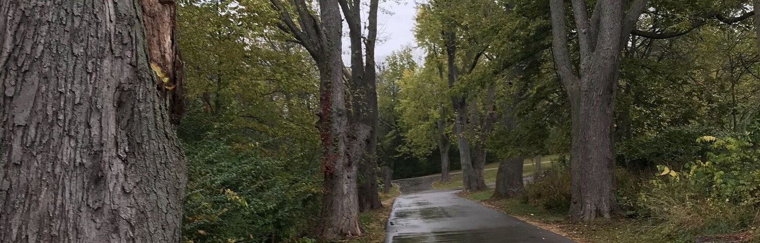 Krape Park again lol