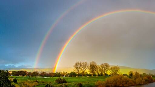 ํ๋ฆฌ๋ชฌํธ