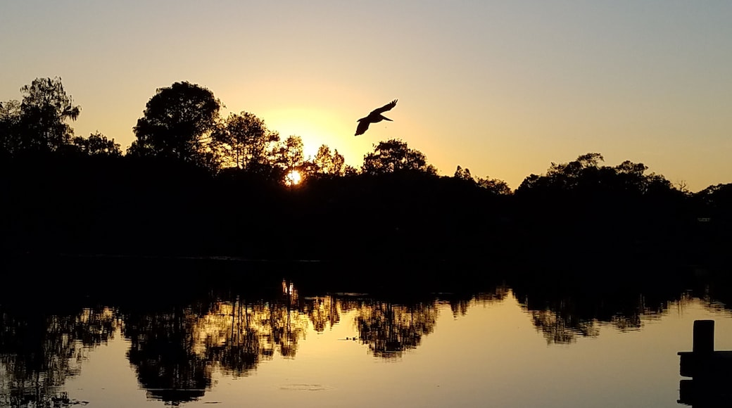 #Trovember 3
Beautiful sunset over the Hillsborough river! I was so jazzed to get a bird in the picture!