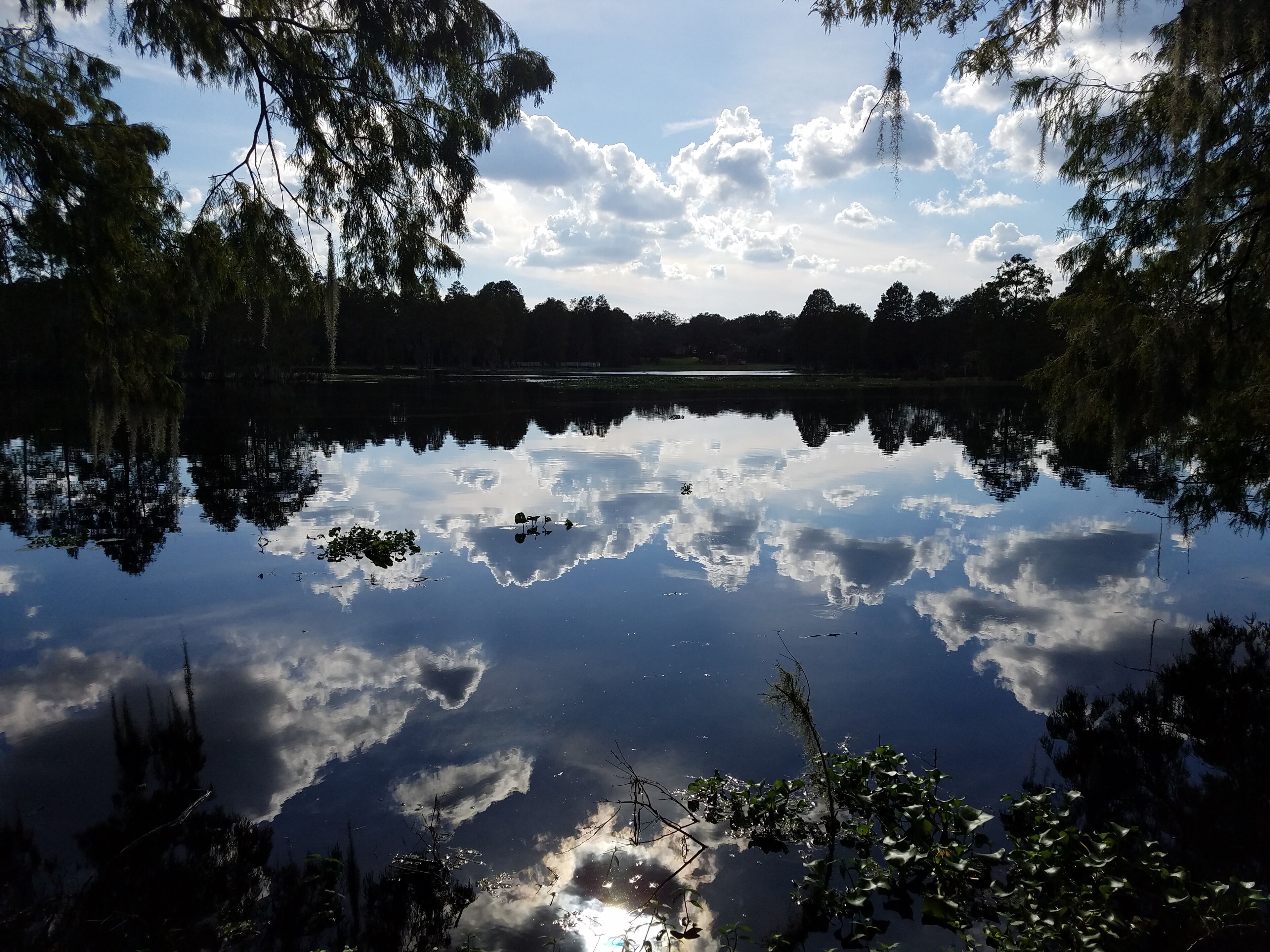 #Trovember 
"Reflections" on the river.  Breathtaking!